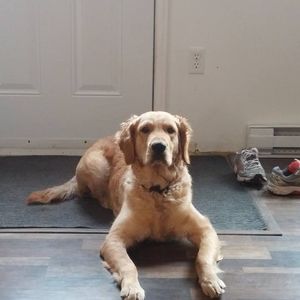 Meet your Posher, Twyla